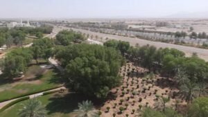 Al Ain